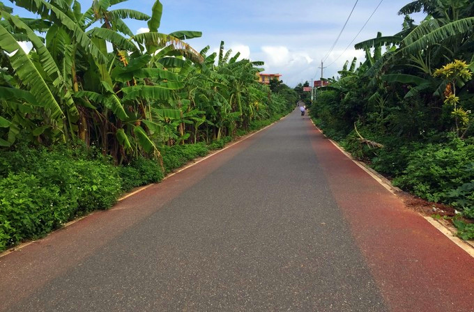 ���ލu�������V������������