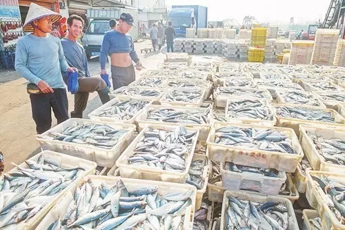 �V�����������������r