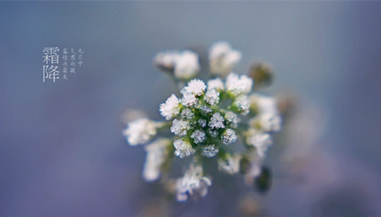 �V���������������������