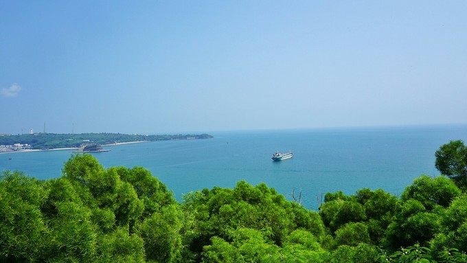 �V���������������ό������ލu����