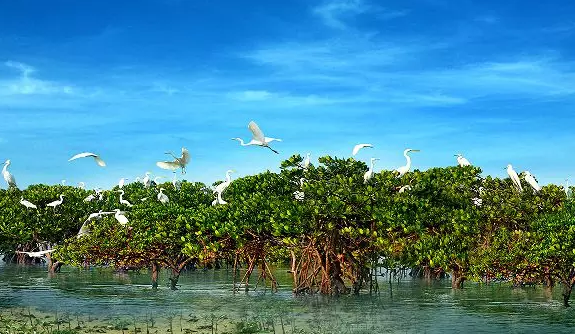 �𺣞��t�������B(t��i)���΅^(q��)