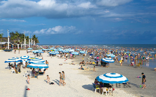 �������y��