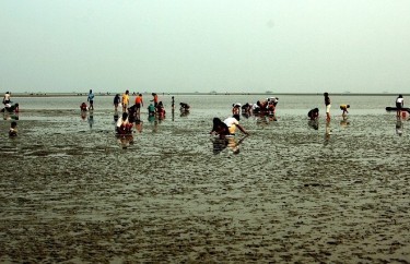 �����𺣞��t�����s��