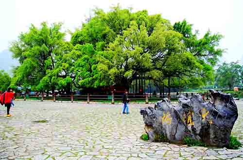 ���Ř�(sh��)�L(f��ng)���^(q��)